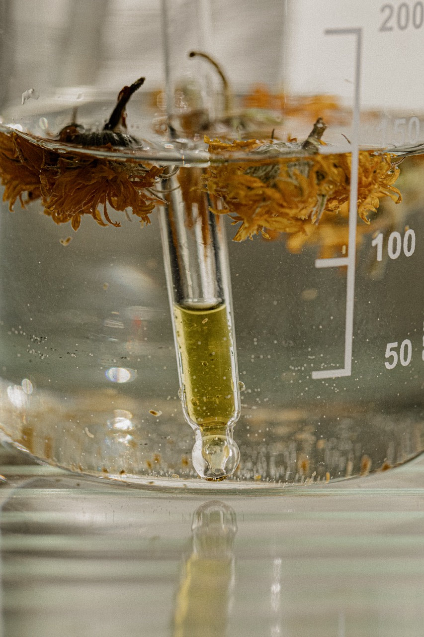 Calendula flowers in a glass beaker, with a dropper