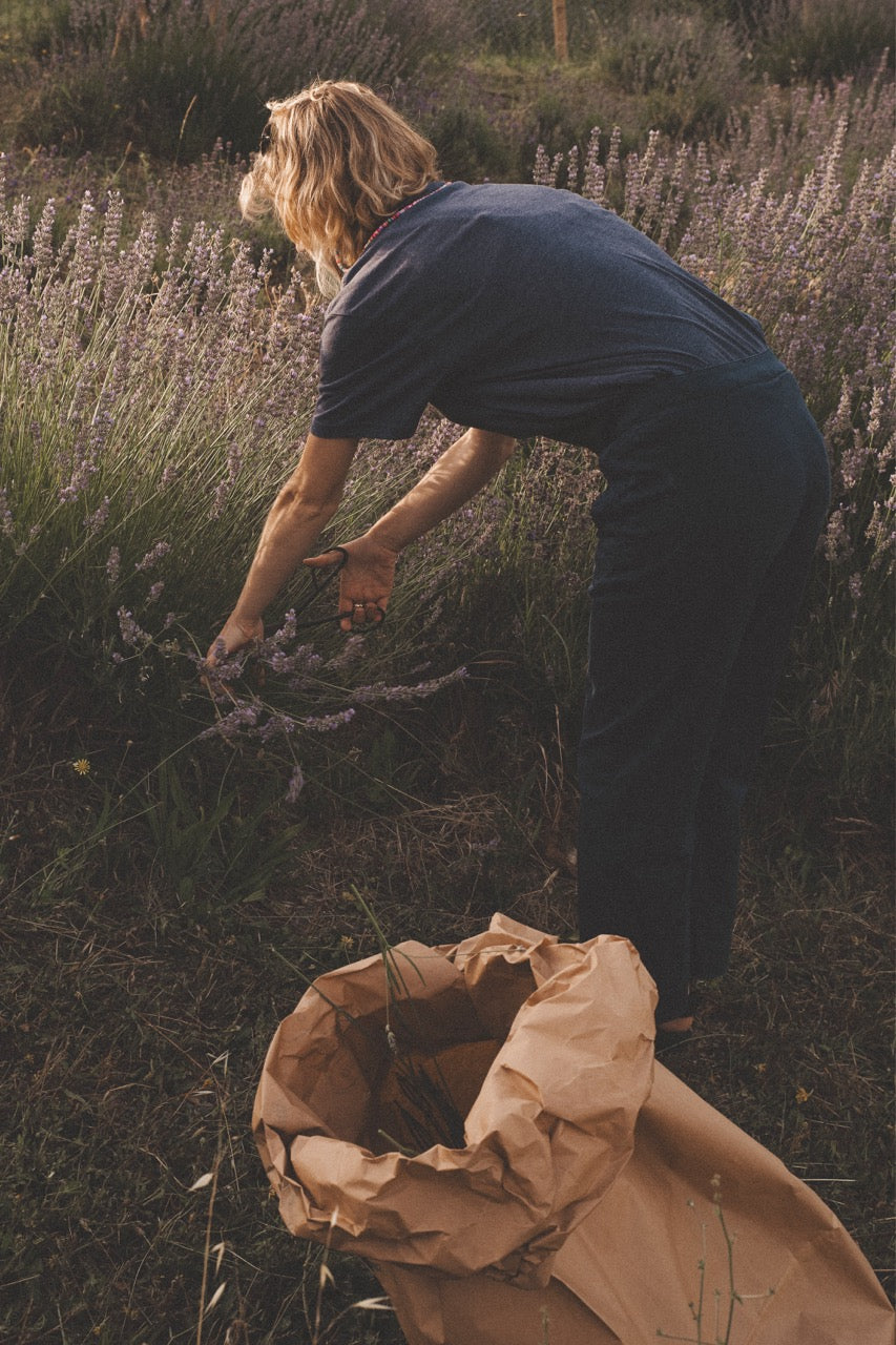 Harvesting in the planted rows at Ortofficina