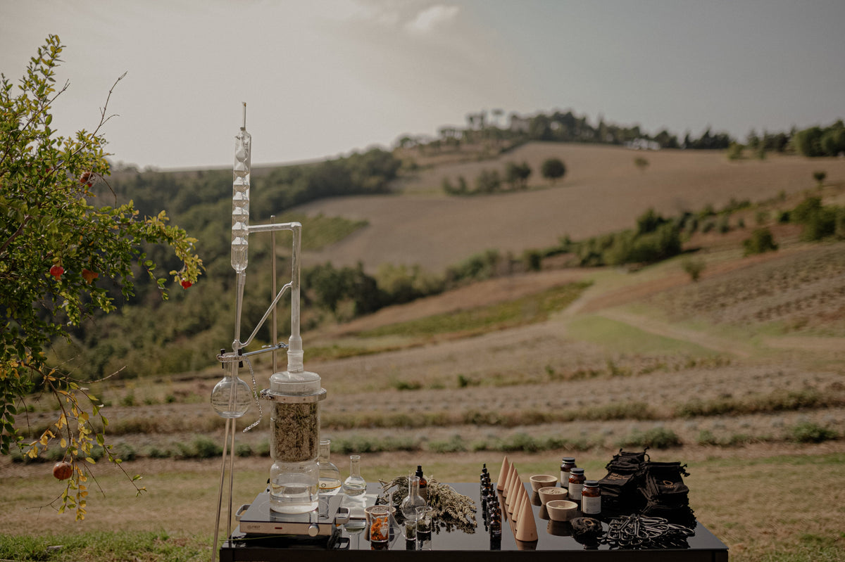 A glass distillation still set up among the planted rows at Ortofficina, with the hills behind