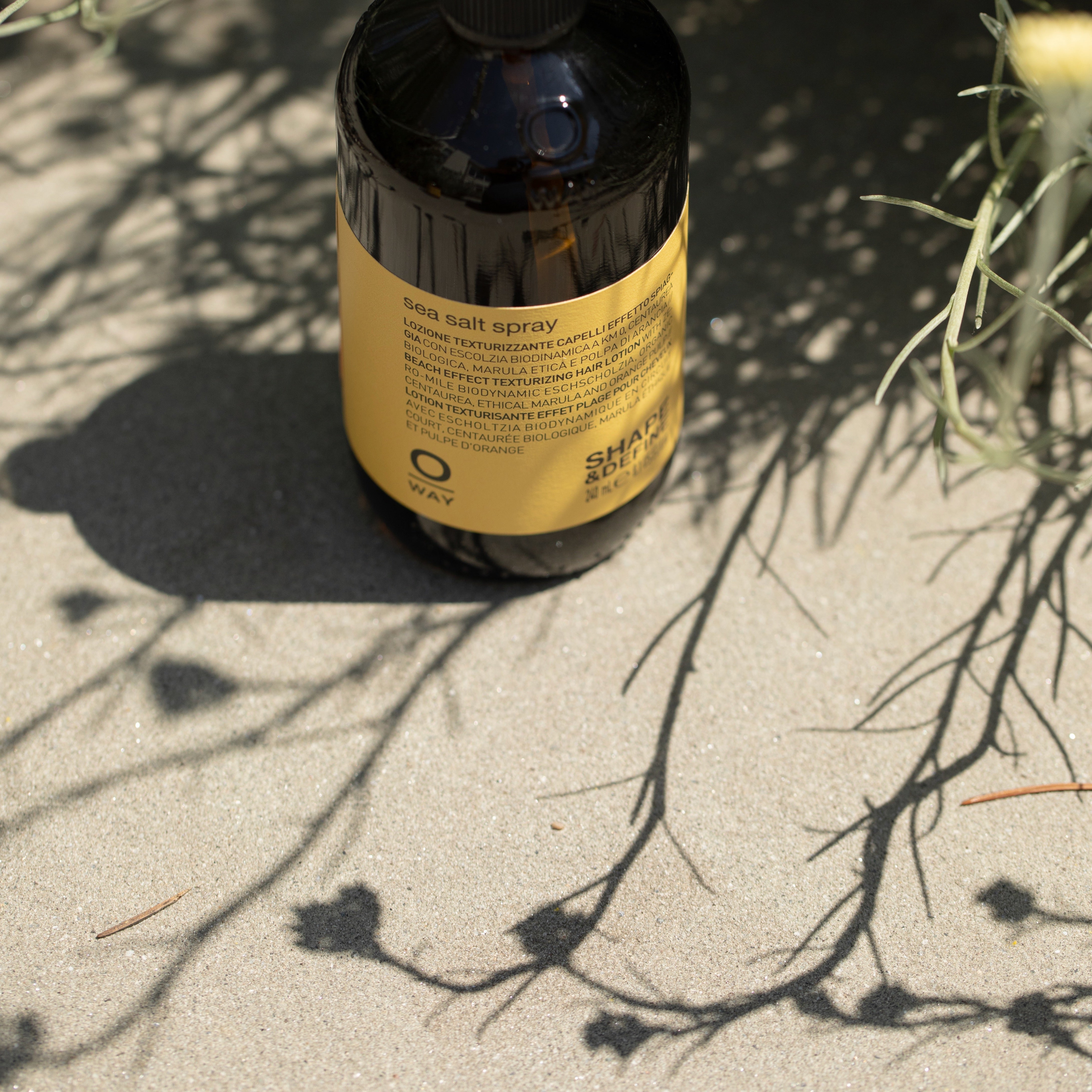 Sea Salt Spray – Beachy Texture with Botanical Nourishment | Oway