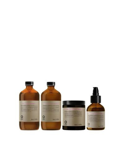 anti-frizz complete routine