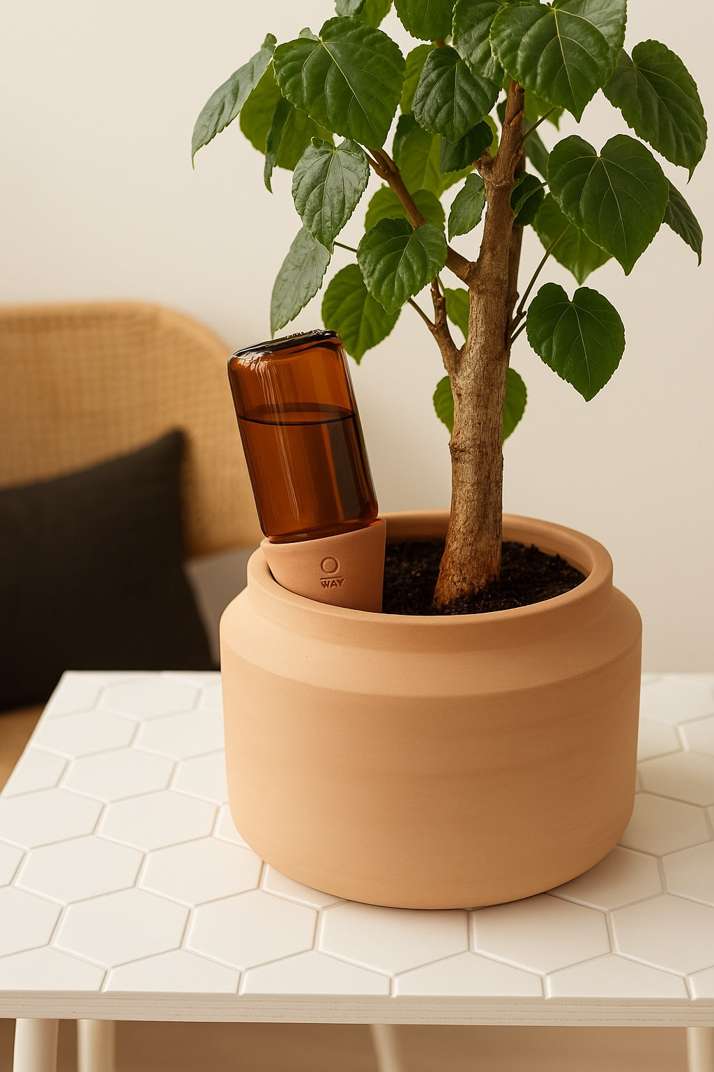 Boho Pomade – Flexible Styling Paste for Natural Texture | Oway