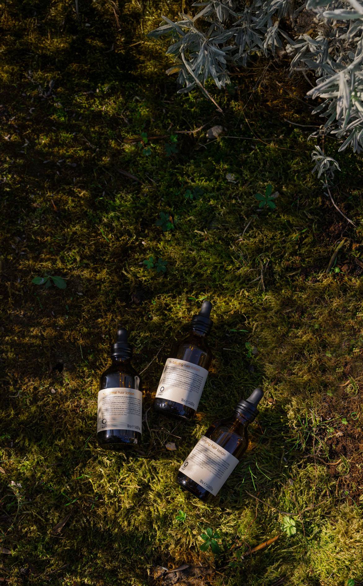 Oway nocturnal, revitalizing and fortifying hair lotions lying on sunlit moss